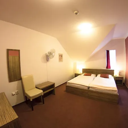 Hotel Wellness Hotel Hukvaldy Polopenze A Wellness V Cene 3*